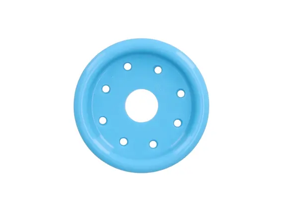 plate pessary